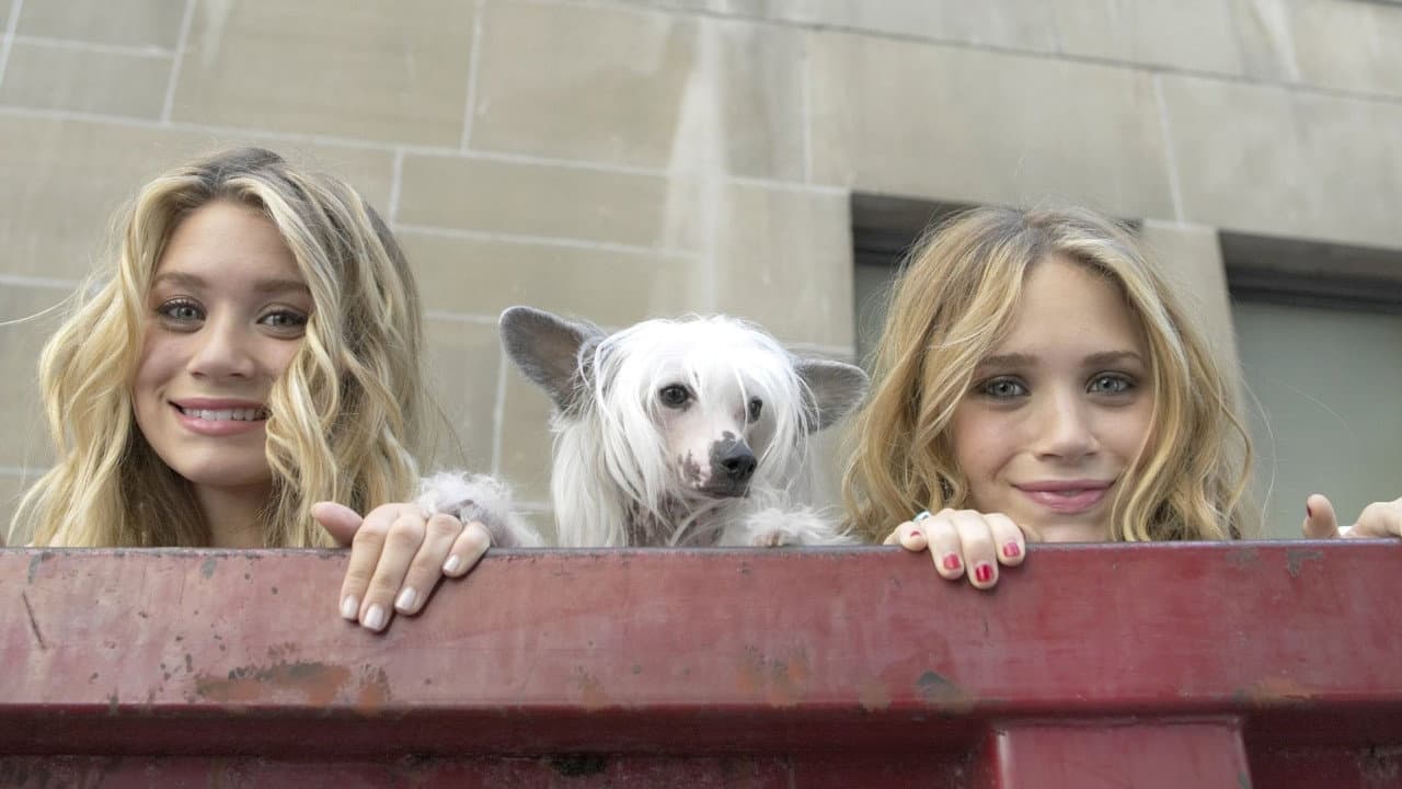 New York Minute still 2