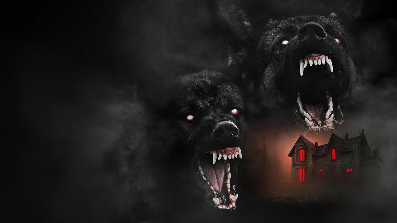 The Dogs still 6