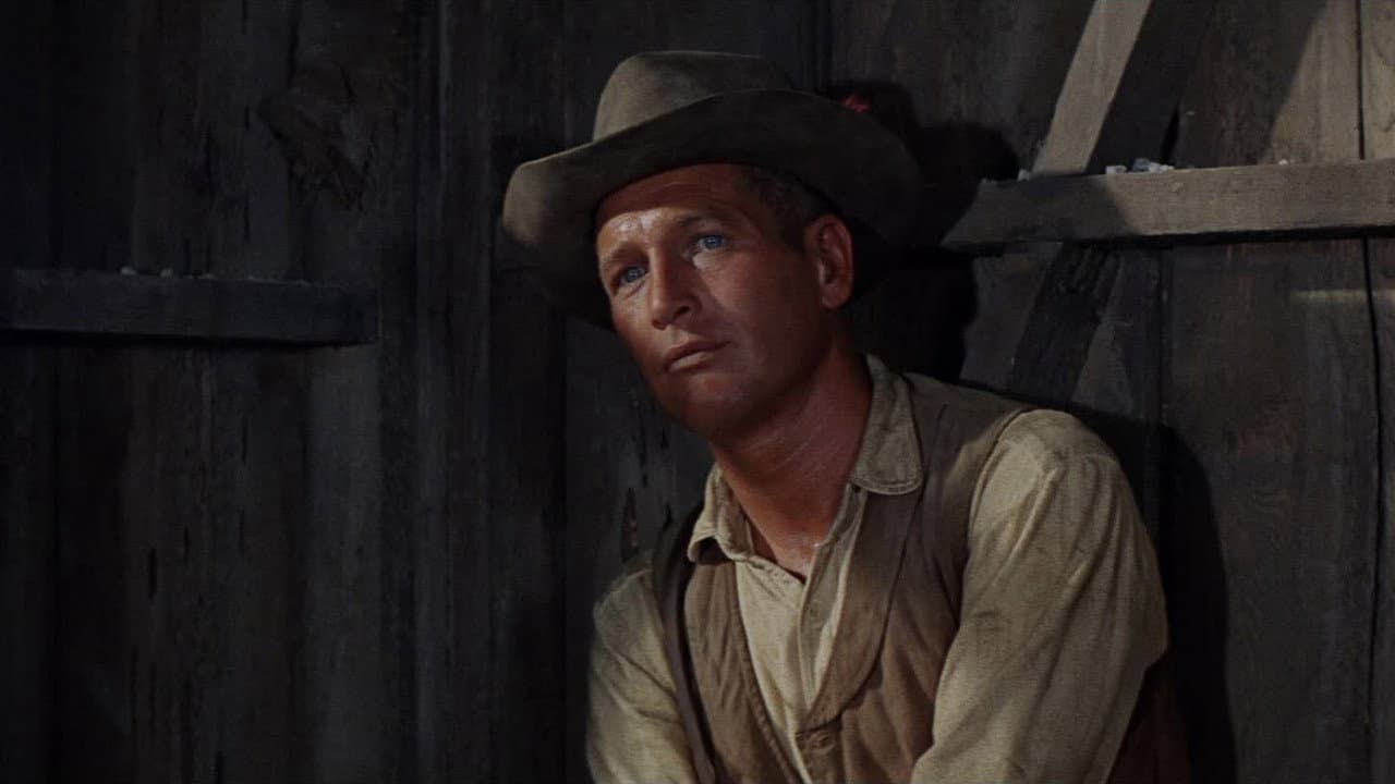 Hombre still 4