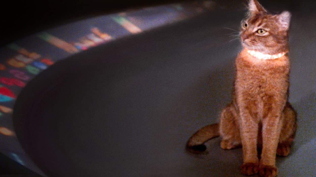 The Cat from Outer Space still 6