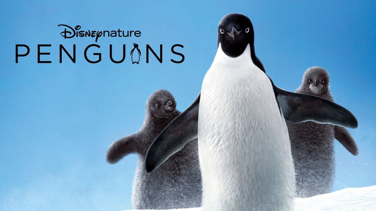Penguins still 2
