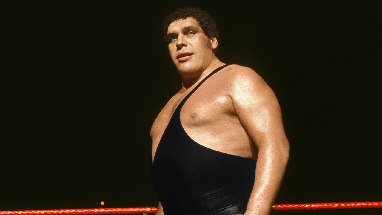 Andre the Giant still 8
