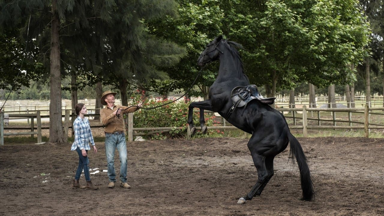 Black Beauty still 1