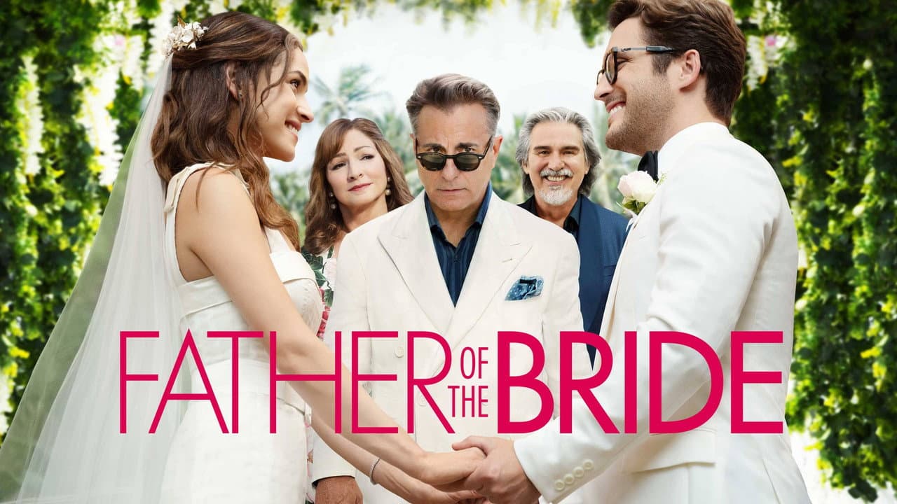 Father of the Bride still 6