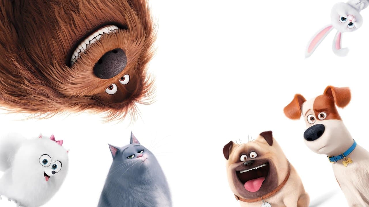The Secret Life of Pets still 4