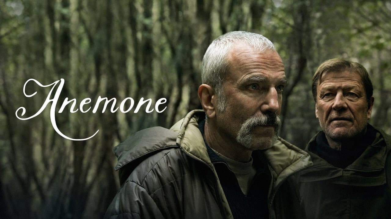 Anemone still 4