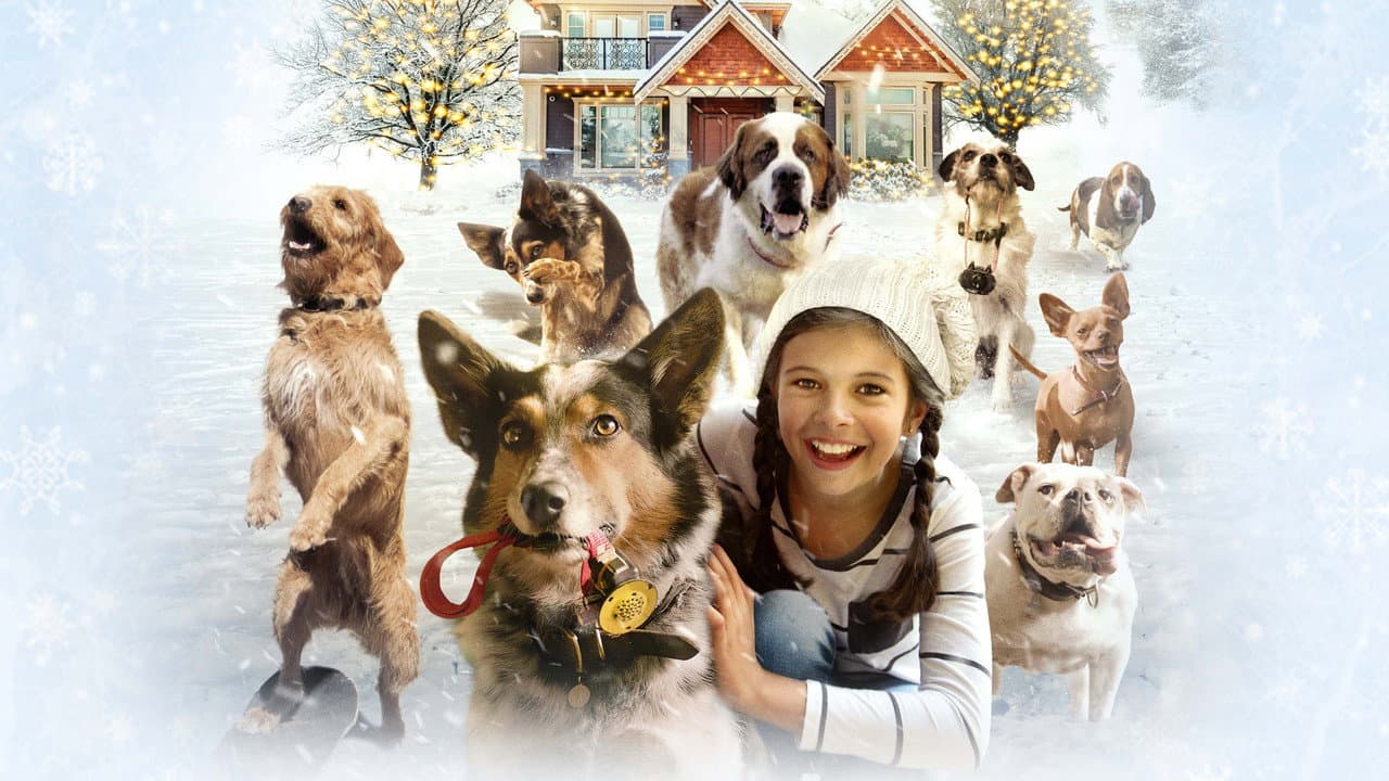 Pups Alone still 8