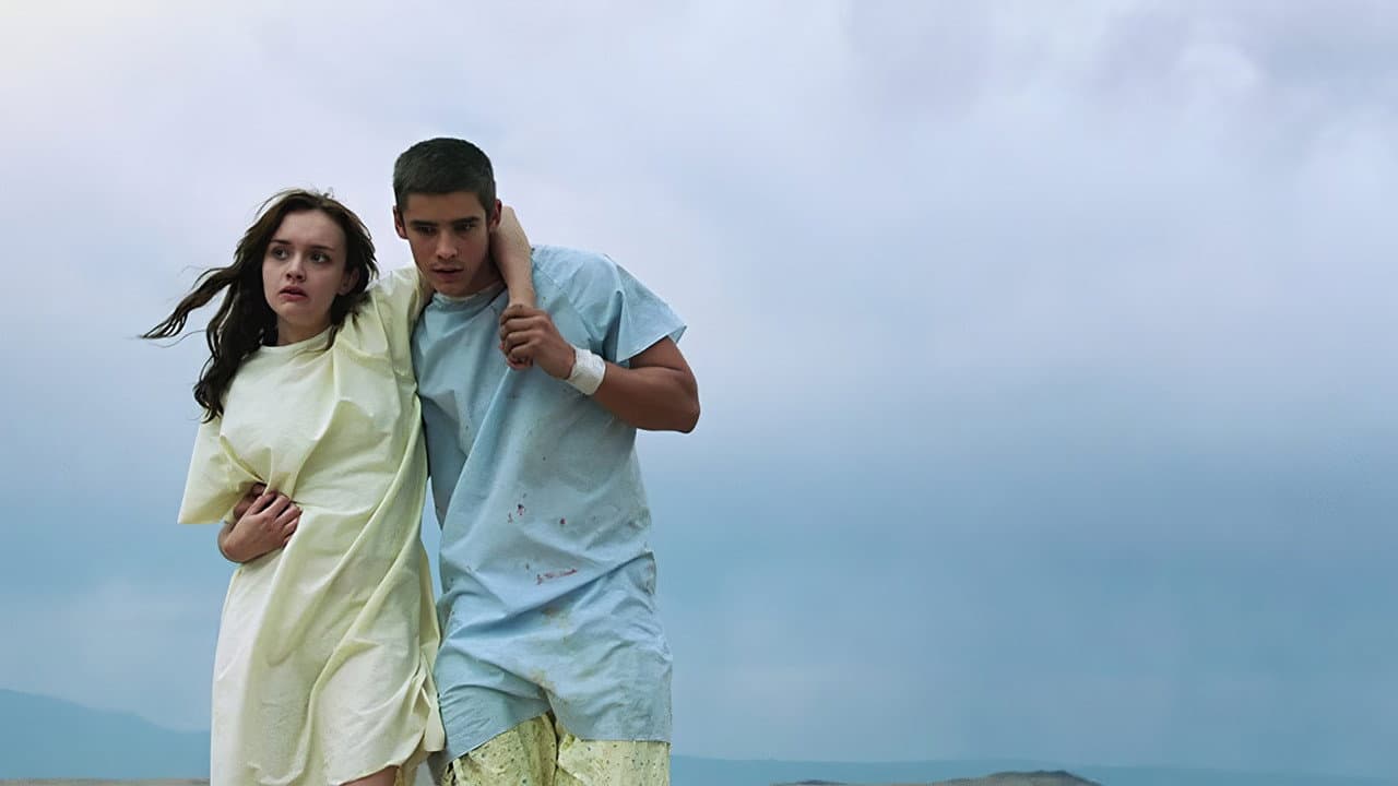 The Signal still 2