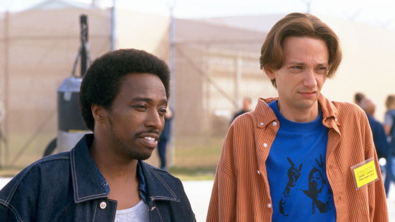 The New Guy still 2