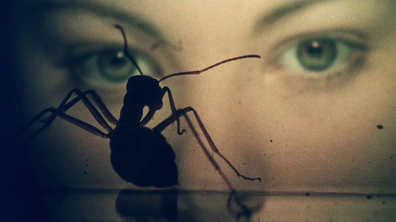 Phase IV still 5