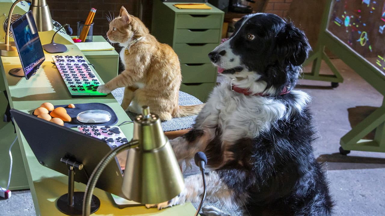 Cats & Dogs 3: Paws Unite still 6
