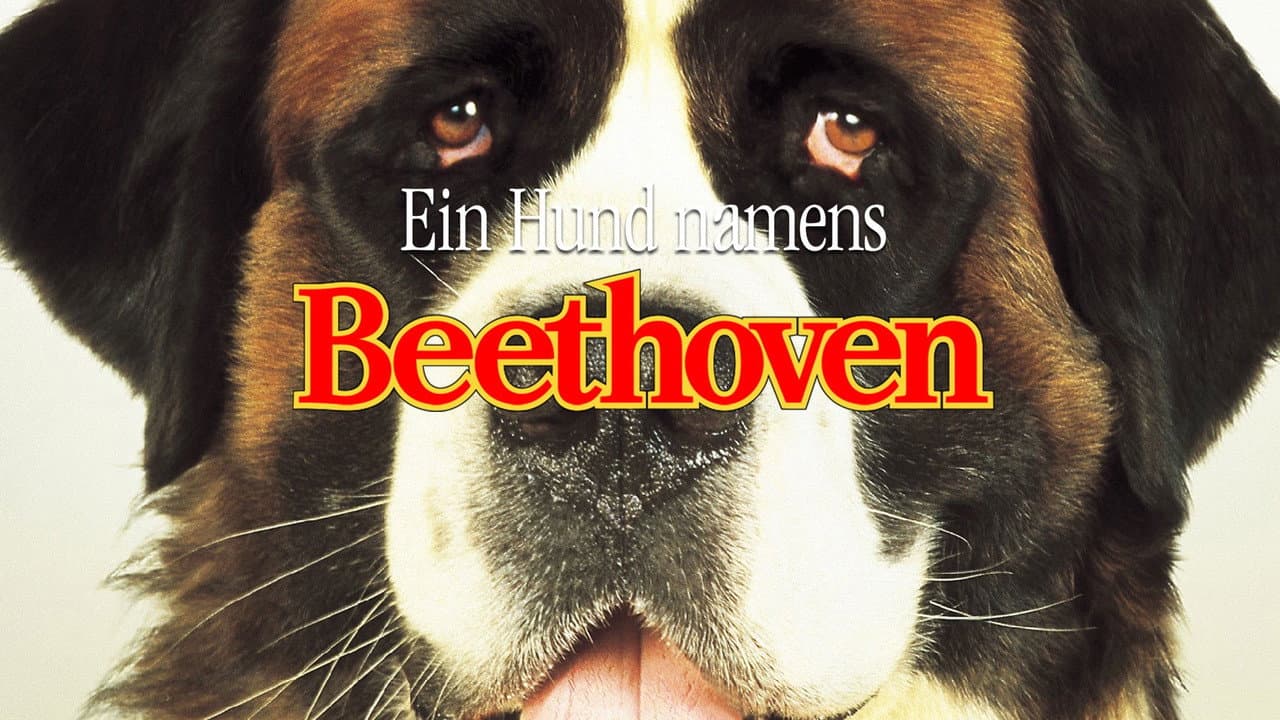 Beethoven still 6