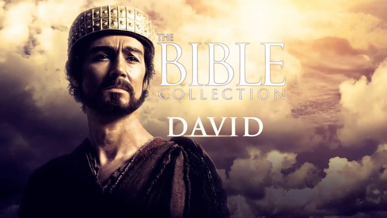 David still 7