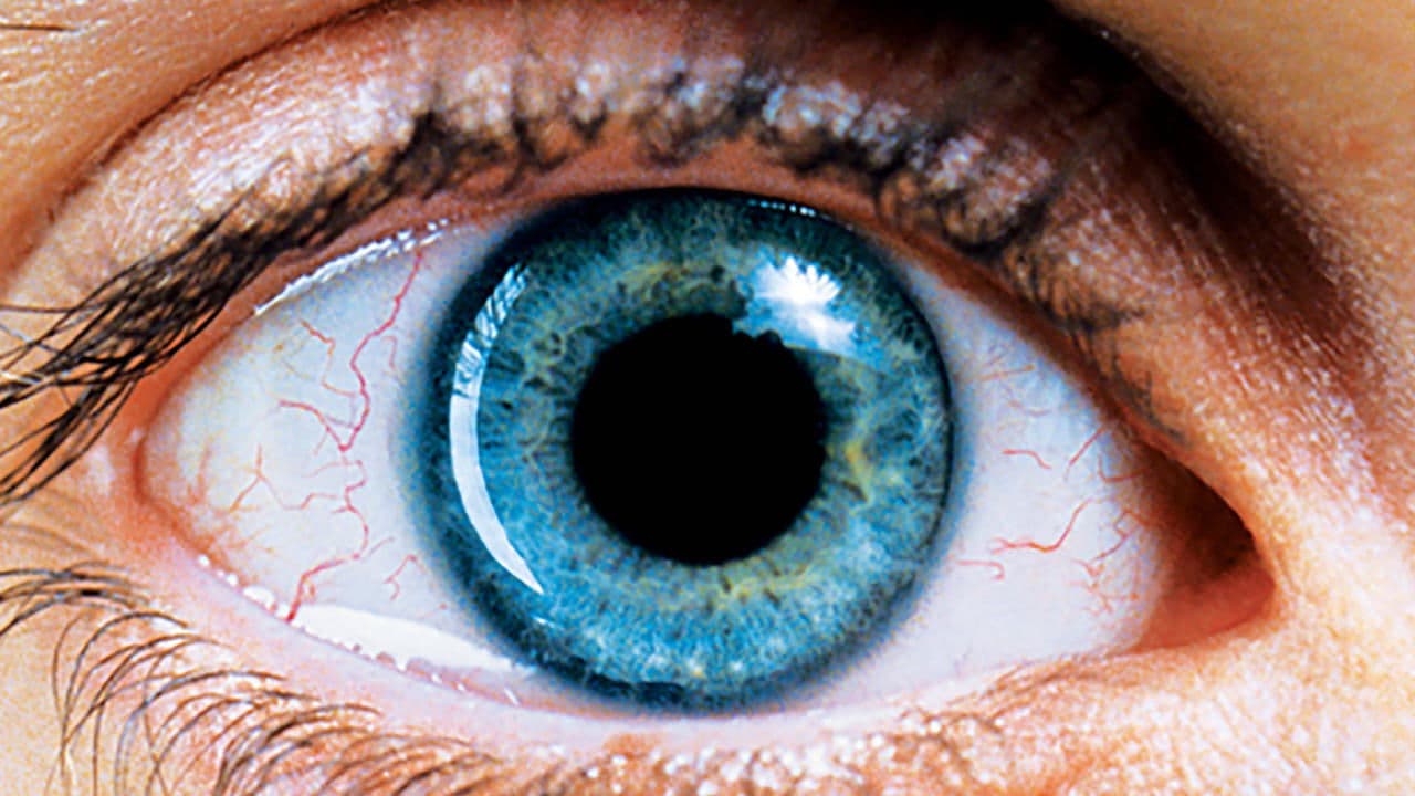 Requiem for a Dream still 4