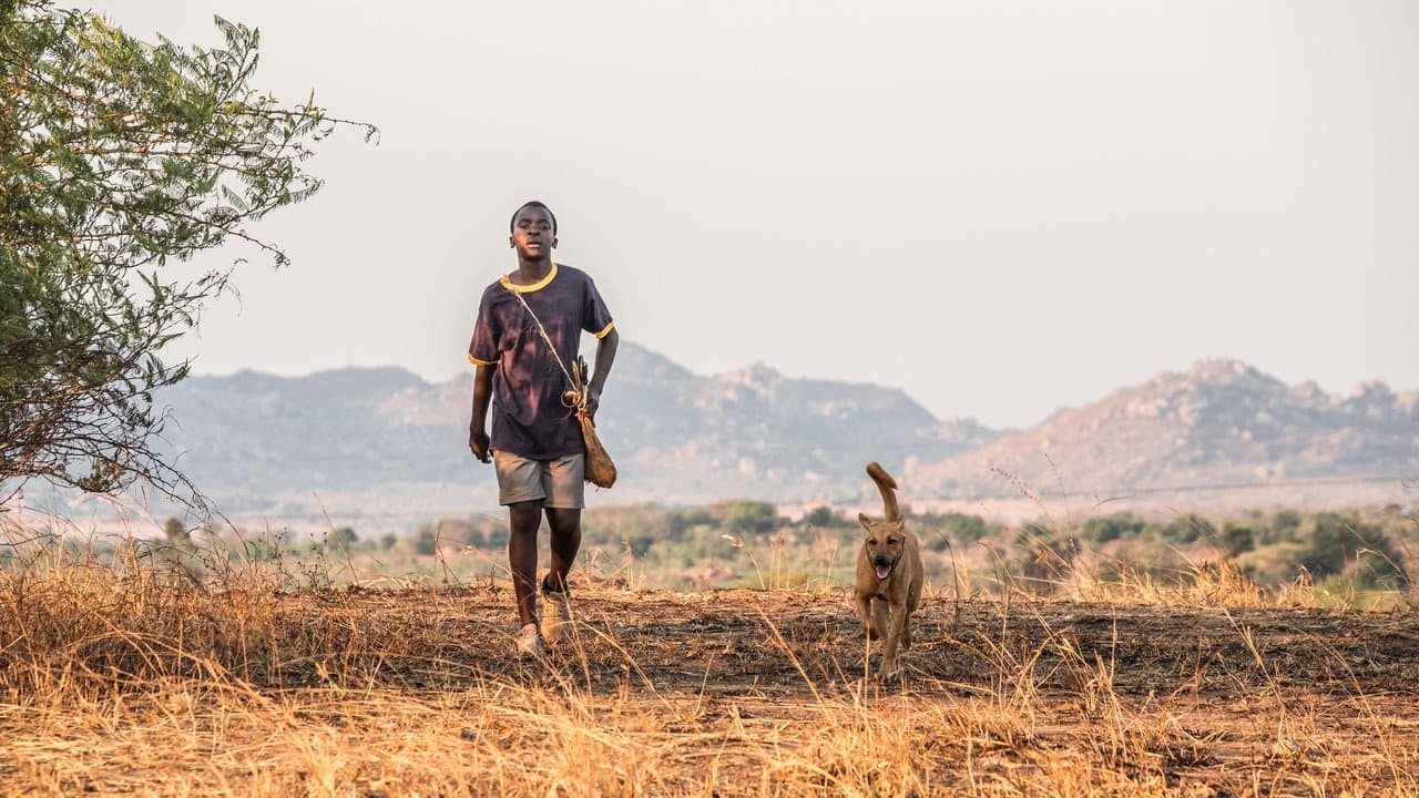 The Boy Who Harnessed the Wind still 6