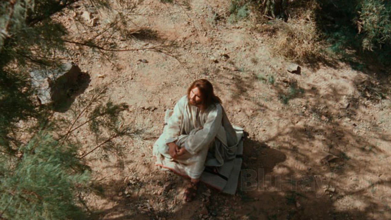 Jesus still 6