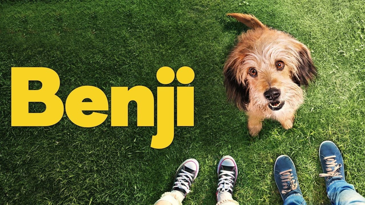 Benji still 6
