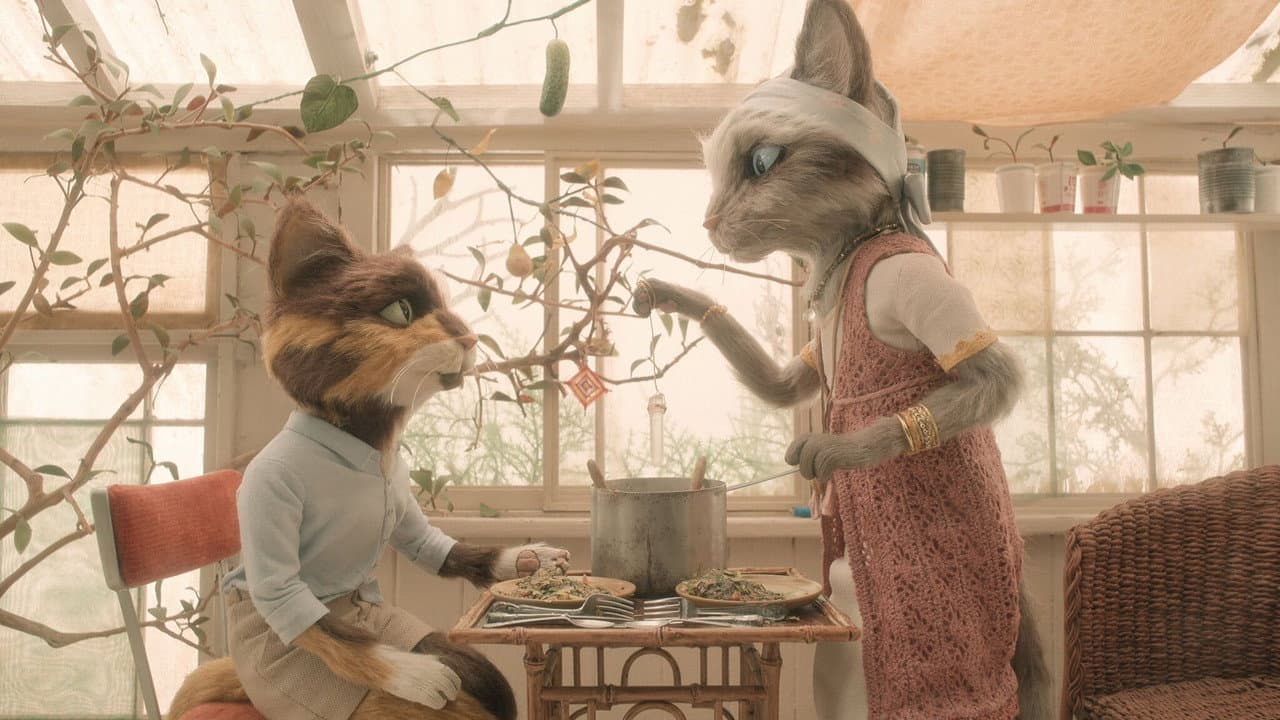 The House still 6