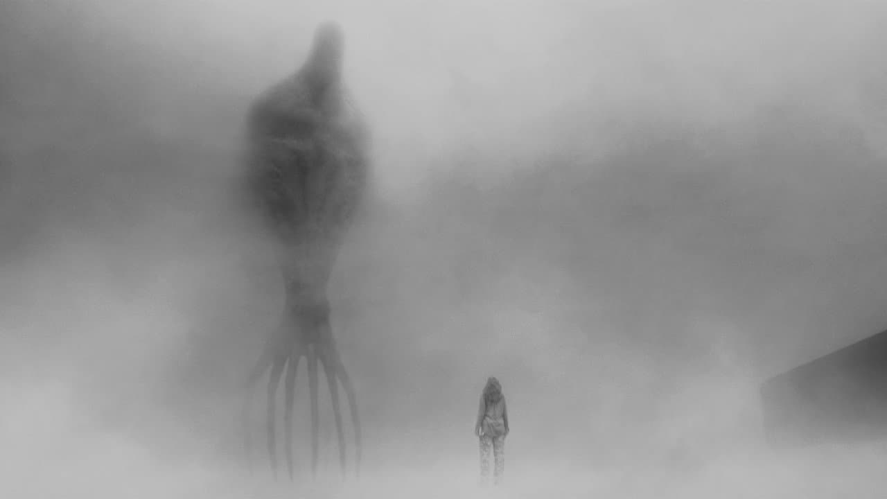 Arrival still 1