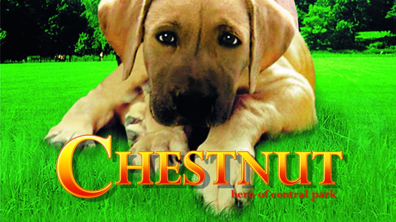 Chestnut: Hero of Central Park still 6