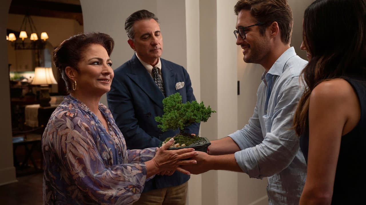 Father of the Bride still 4