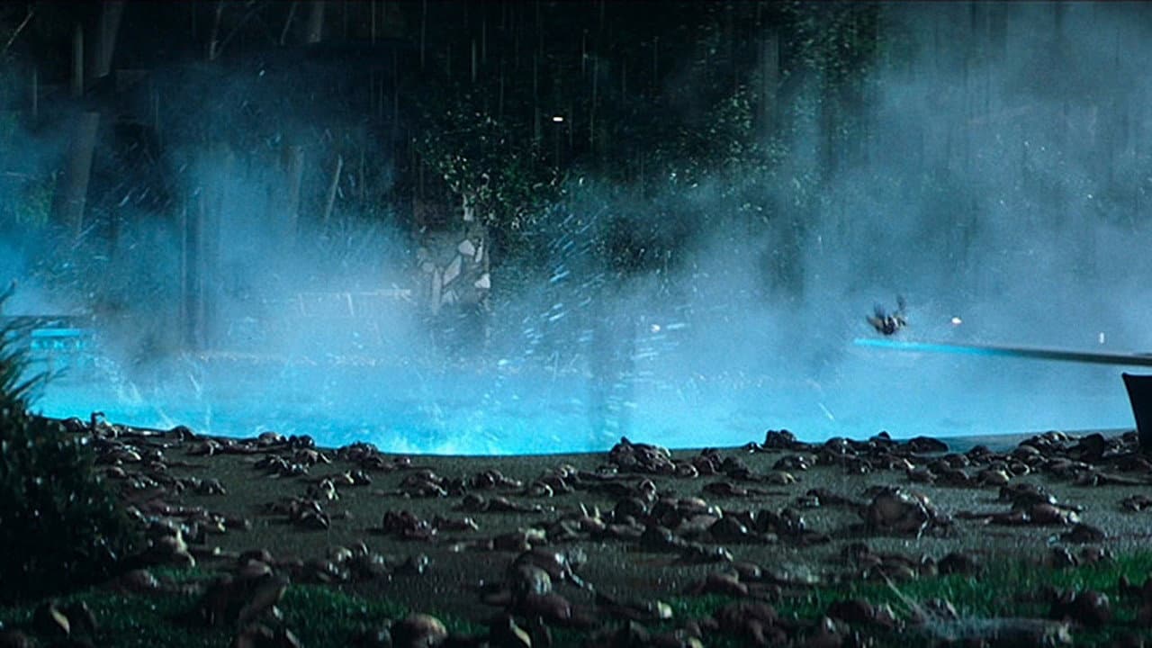 Magnolia still 8