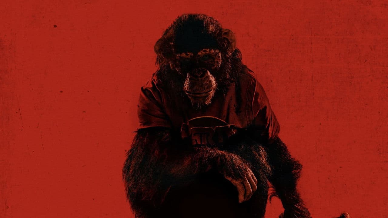Primate still 4