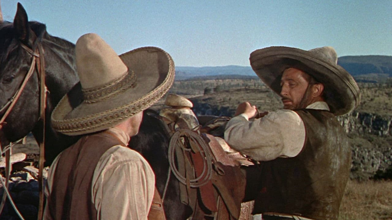 The Wonderful Country still 1
