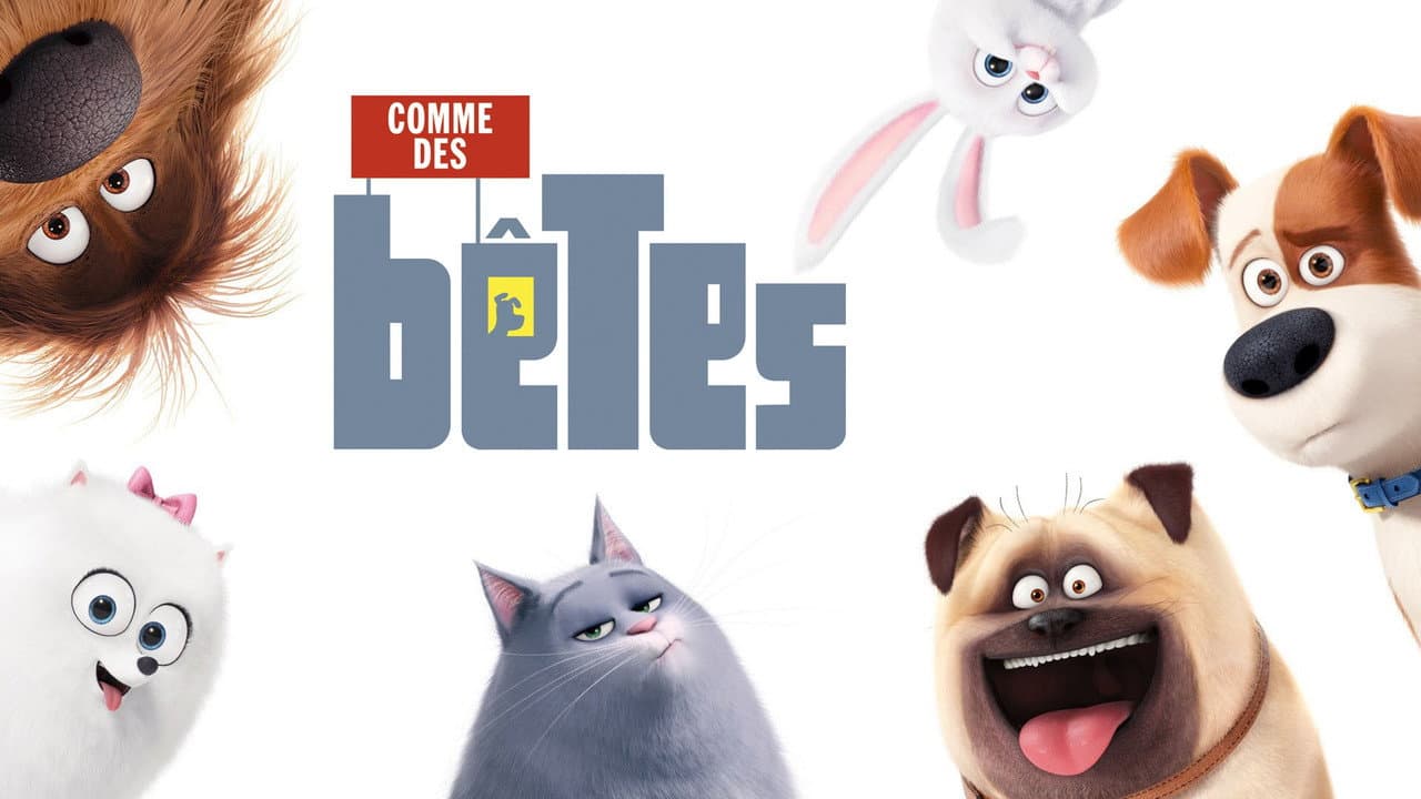 The Secret Life of Pets still 5