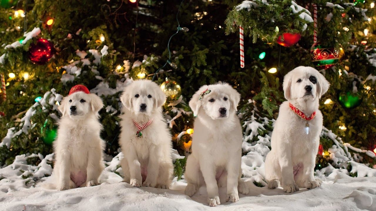 Santa Paws 2: The Santa Pups still 2