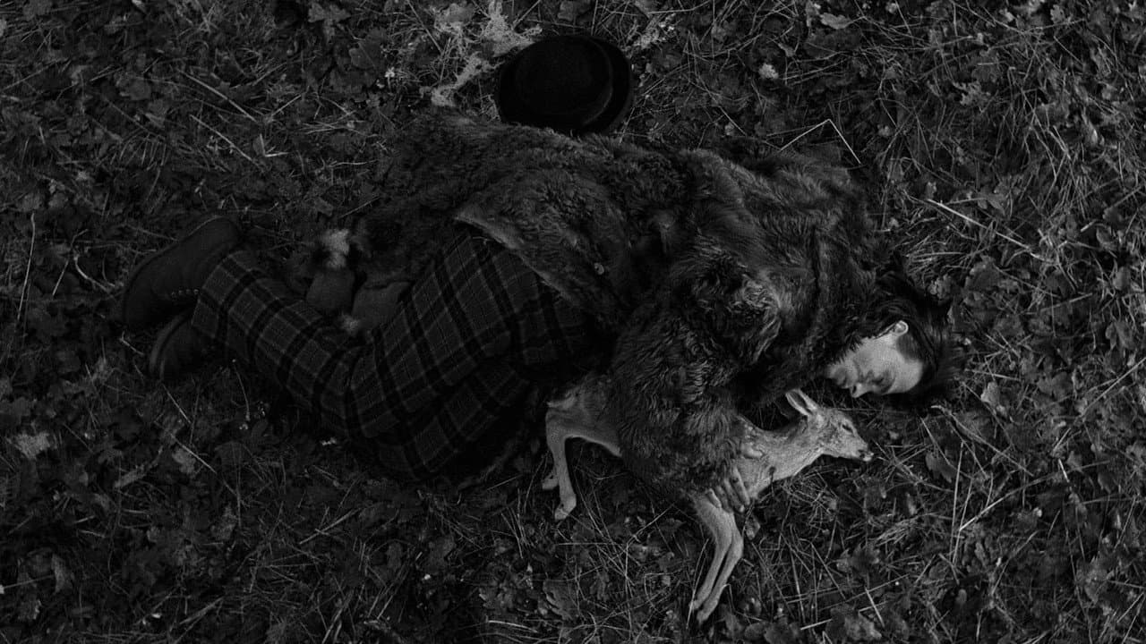 Dead Man still 5