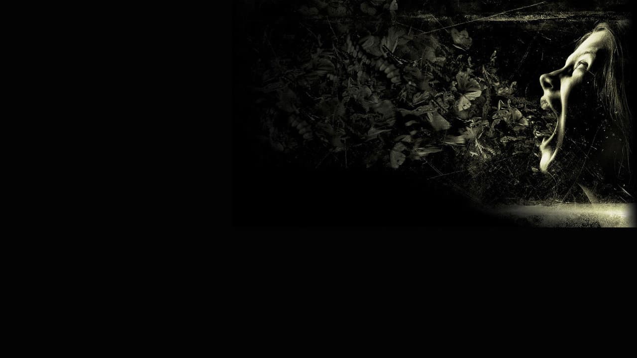 The Possession still 4