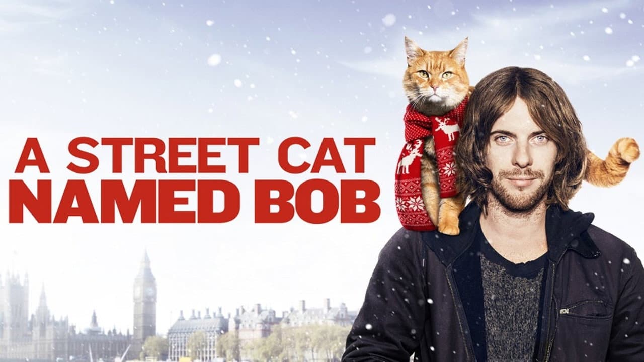 A Street Cat Named Bob still 1