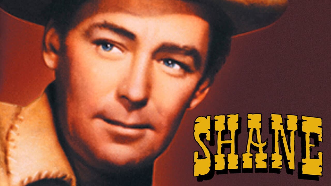 Shane still 7