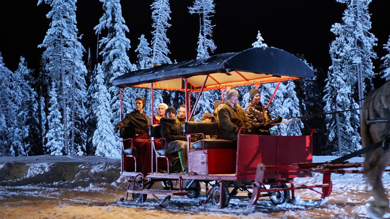A Winter Princess still 5