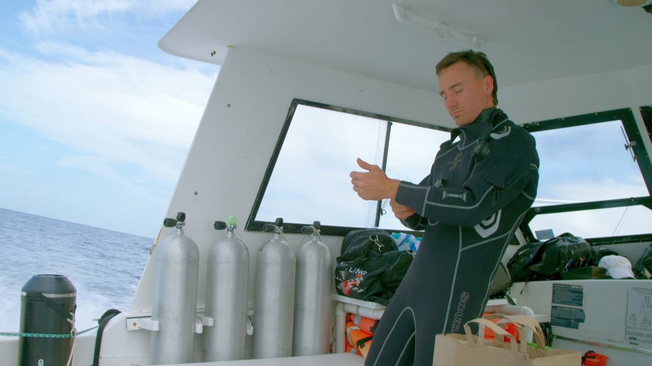 Sharkwater Extinction still 8