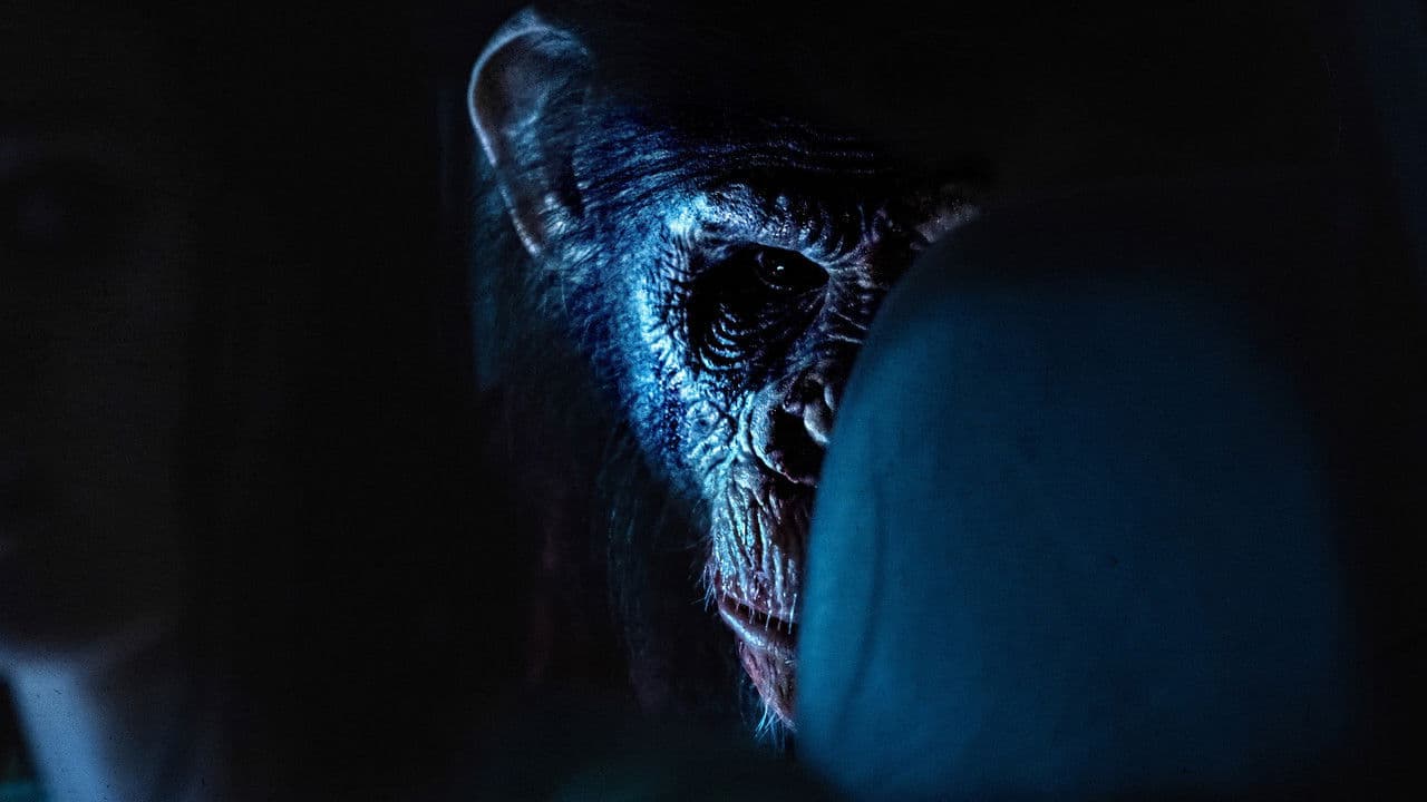 Primate still 2