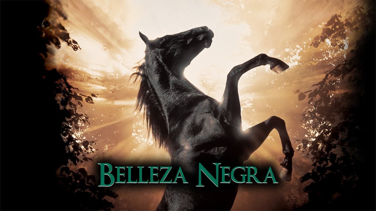 Black Beauty still 8