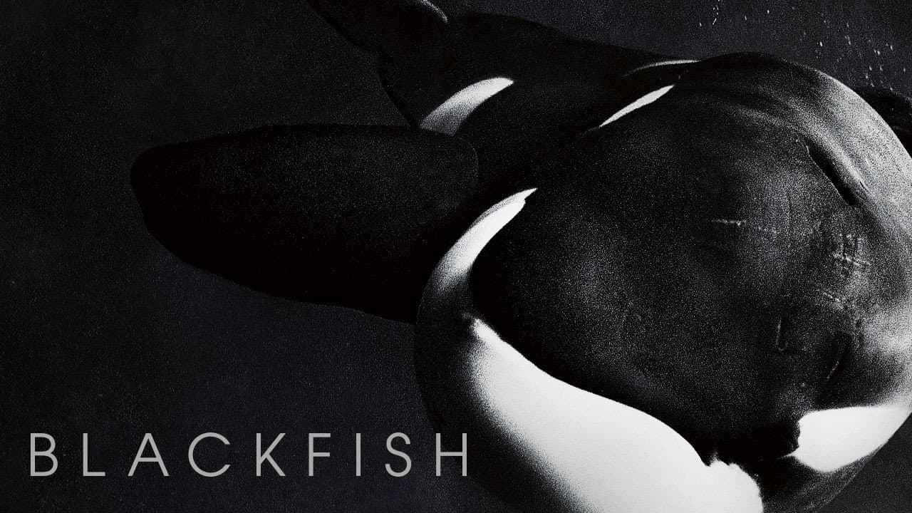 Blackfish still 8