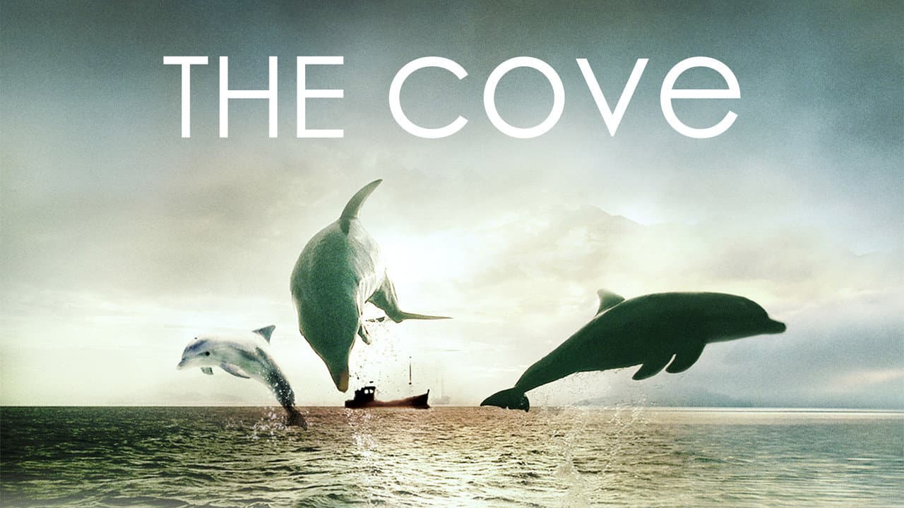 The Cove still 8