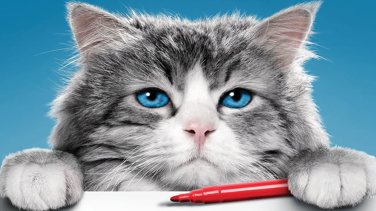 Nine Lives still 6