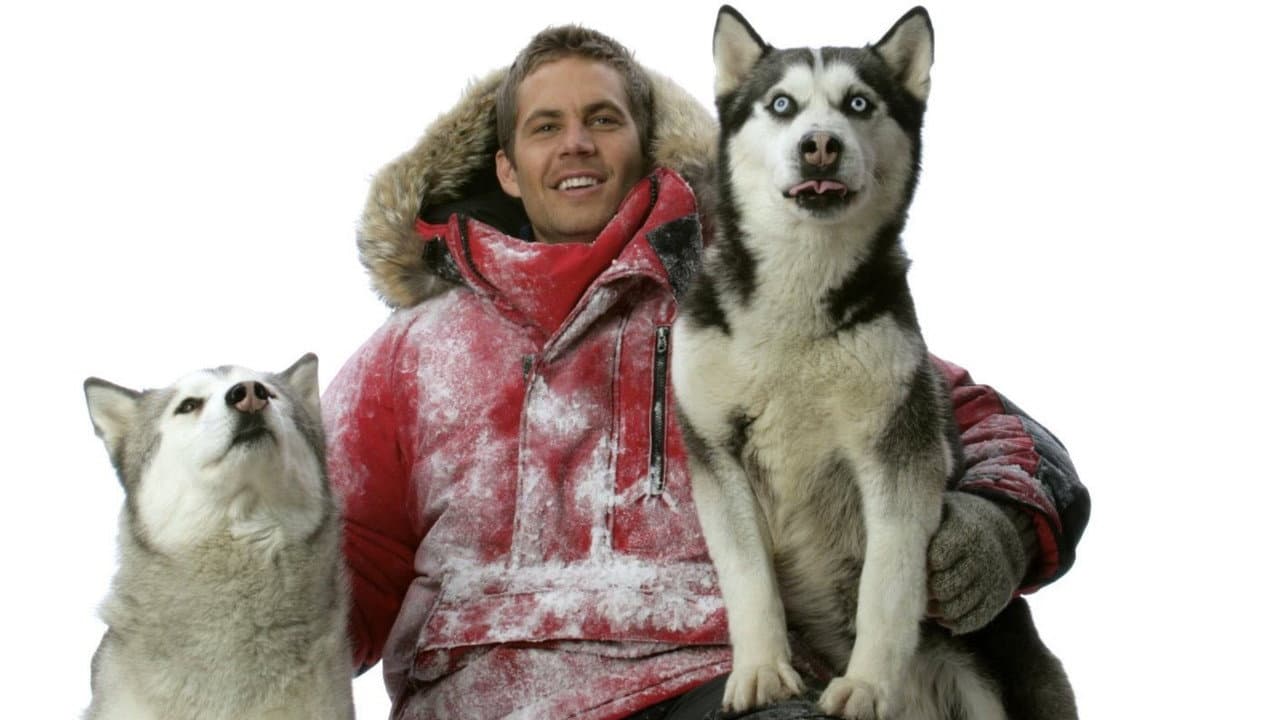 Eight Below still 8