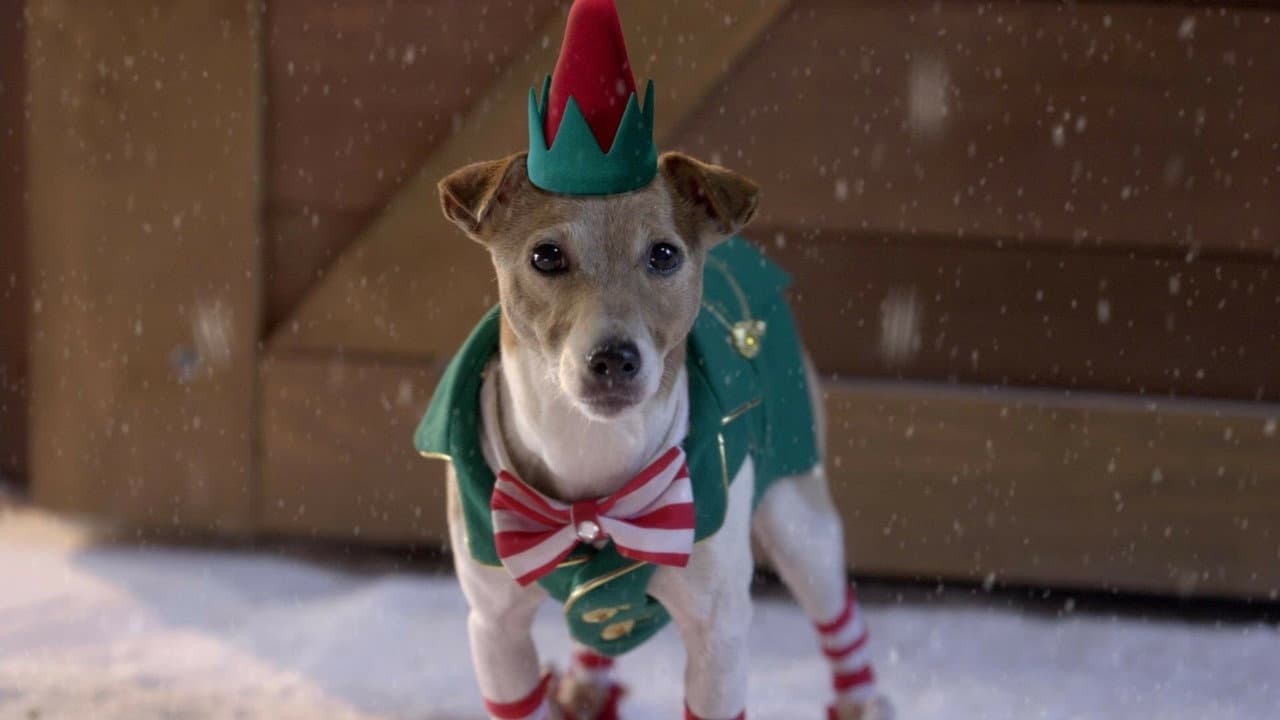 Santa Buddies still 4