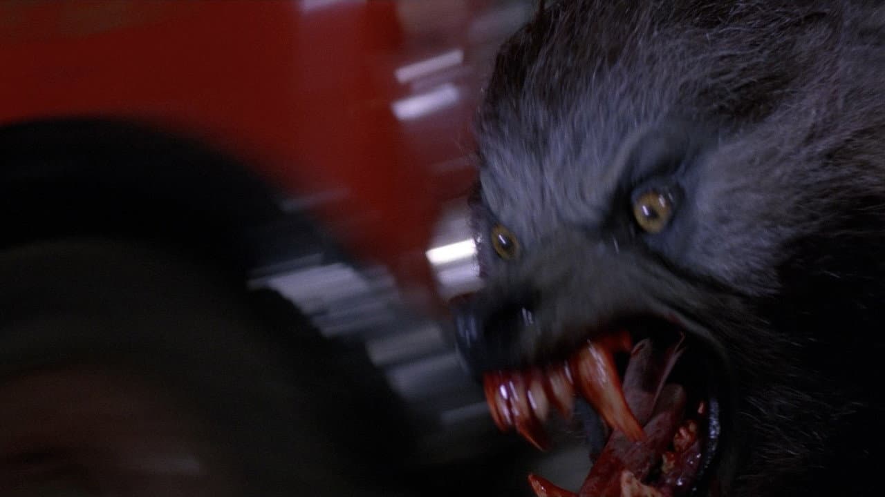 An American Werewolf in London still 7