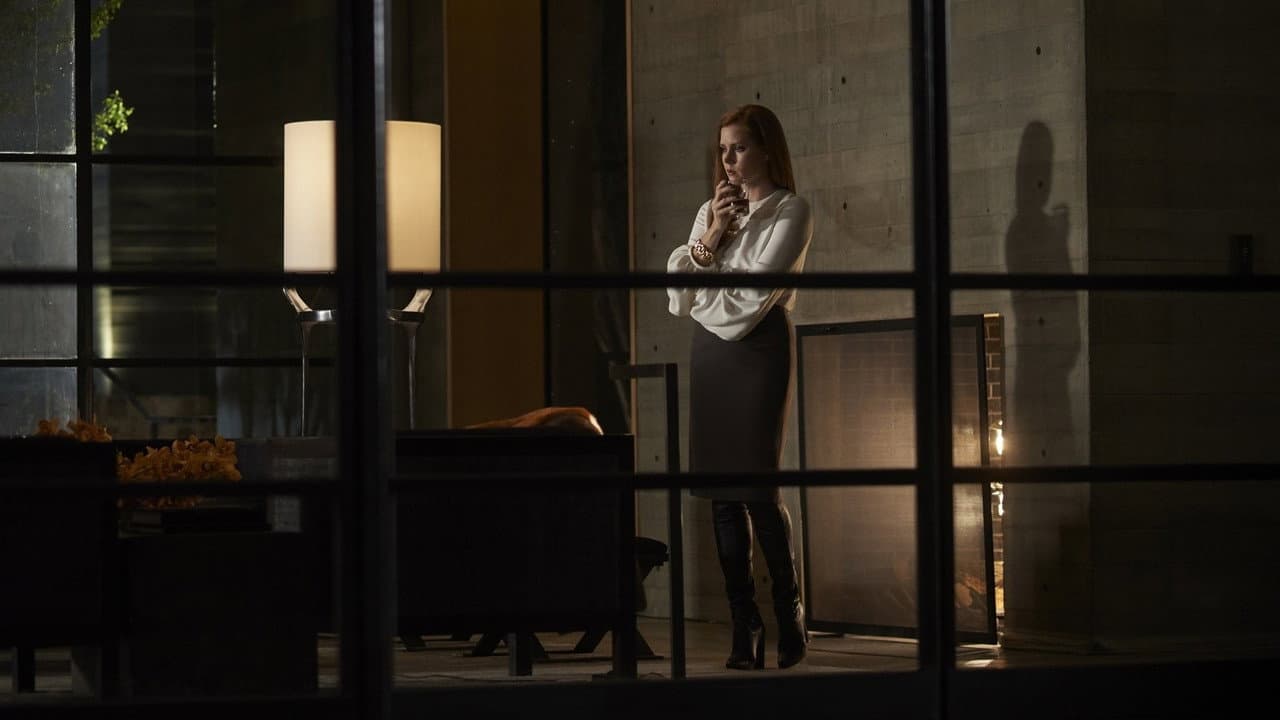 Nocturnal Animals still 6