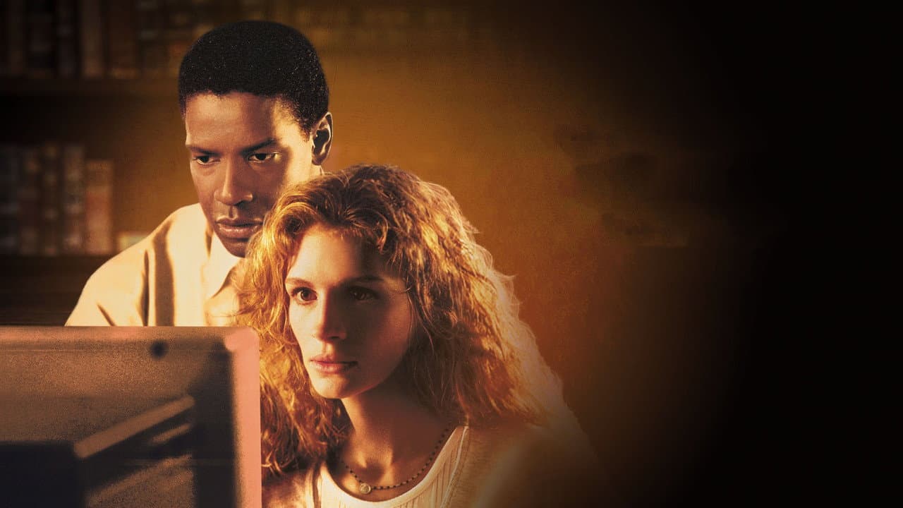 The Pelican Brief still 5