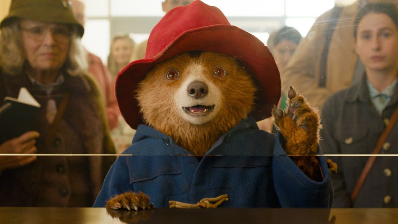 Paddington in Peru still 3