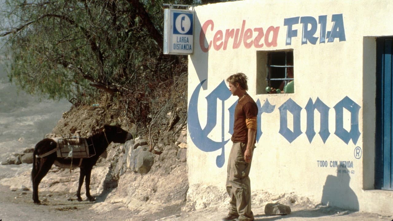 The Mexican still 7