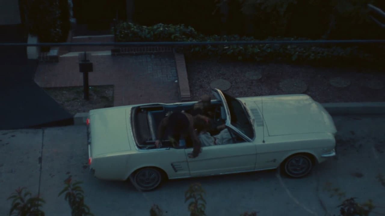 Lions Love still 3