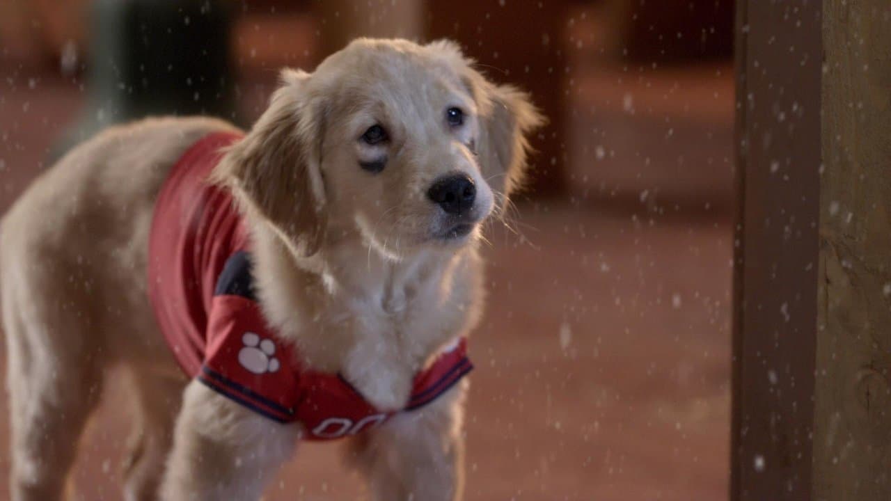 Santa Buddies still 3